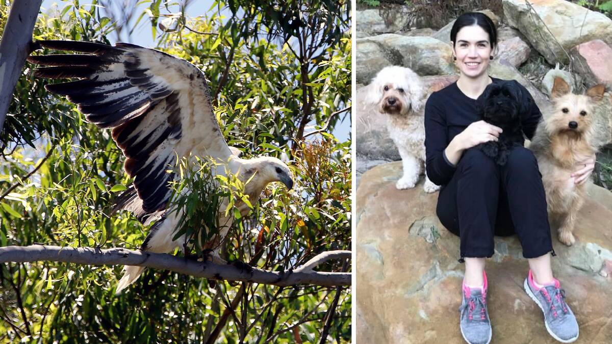 Casey Holdsworth, pictured with three of her four dogs, says she is keeping her pets indoors to protect them from neighbouring white-bellied sea eagles. Picture: Kirk Gilmour; supplied. 