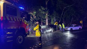 Emergency services at the scene of an abandoned station wagon found smashed into a tree at Mount Keira in the early hours of Tuesday, March 19, 2024. Picture by Mount Keira Rural Fire Brigade