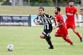 One of the region's young guns Nic Tomasiello has featured heavily for Port Kembla in the Illawarra Premier League in 2024. Picture by Anna Warr