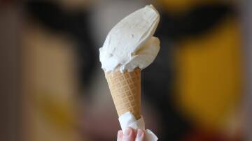The Royal Easter Show's 2024 champion gelato: Madagascan vanilla bean from Cow and the Moon. Picture by Robert Peet