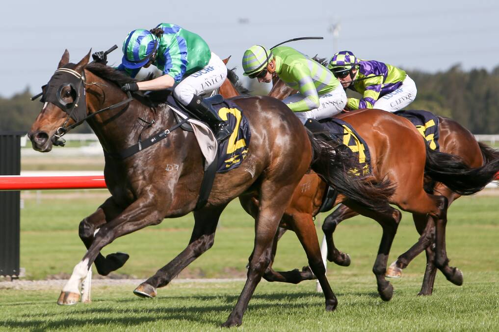 STRONG PERFORMANCE: Brother In Arms, ridden by Jess Taylor, saluted at Kembla Grange on Saturday. Photo: Adam McLean.