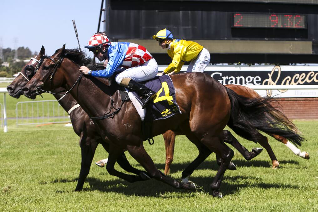 FIGHTING QUALITIES: The John O'Shea-trained Carambola was given a quality steer by Shaun Guymer at Kembla Grange on Saturday. Picture: Anna Warr