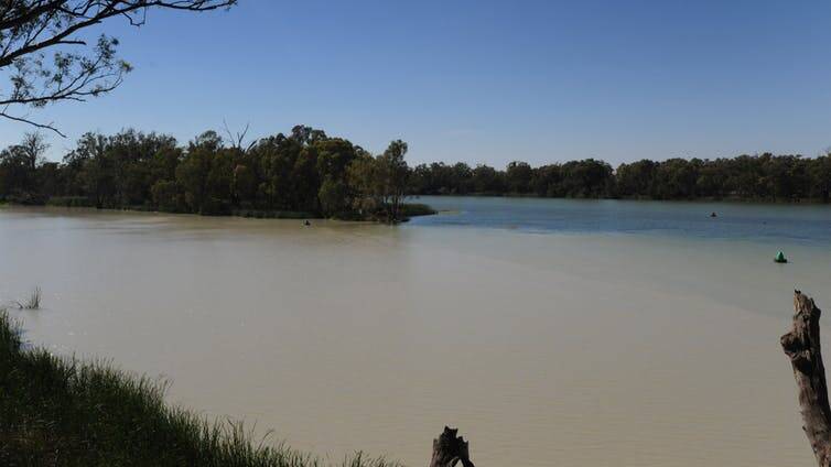 UOW expert joins group declaring to fix Murray Darling Basin