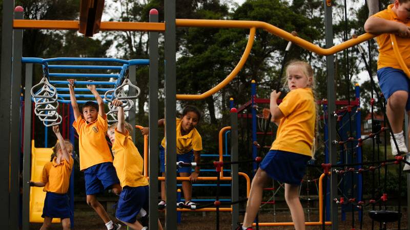 The Illawarra public schools where student enrolments have gone up –and down