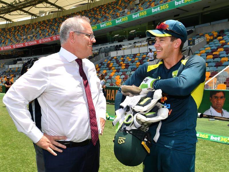 Australian captain Tim Paine (R) is backing David Warner in his home Test return against Pakistan.