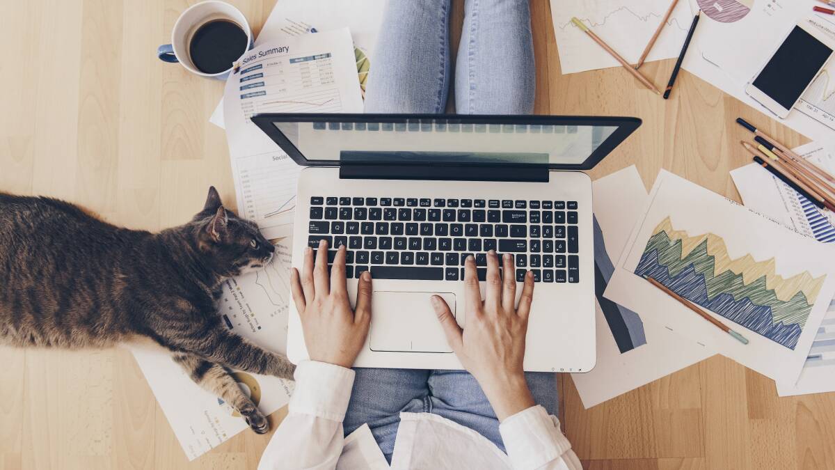Your cat might love it, but studies have shown working from home for extended periods can leave employees feeling socially and professionally isolated. Picture: Shutterstock
