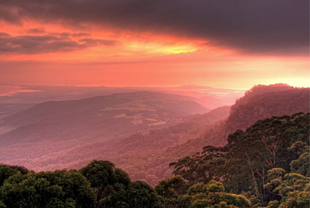 Magnificent scenery: The view from the top of the Illawarra Fly's Knights Tower. Picture: Dee Kramer Photography.
