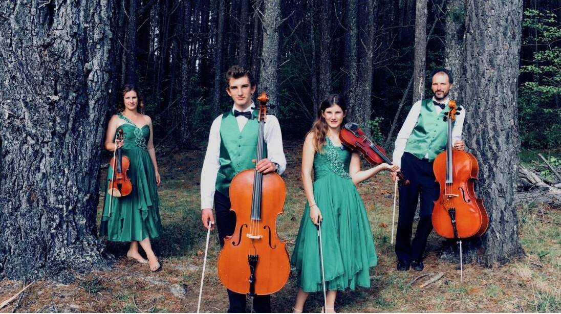 THE STRING FAMILY: Sarah, Heath, Ashleigh and Joel Moir arrive back in Wollongong this Friday and will perform a concert on Saturday.


