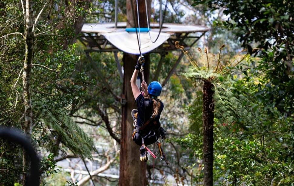 Self isolation activity; A scene from the first zipline virtual tour at Illawarra Fly Treetop Avdentures.

