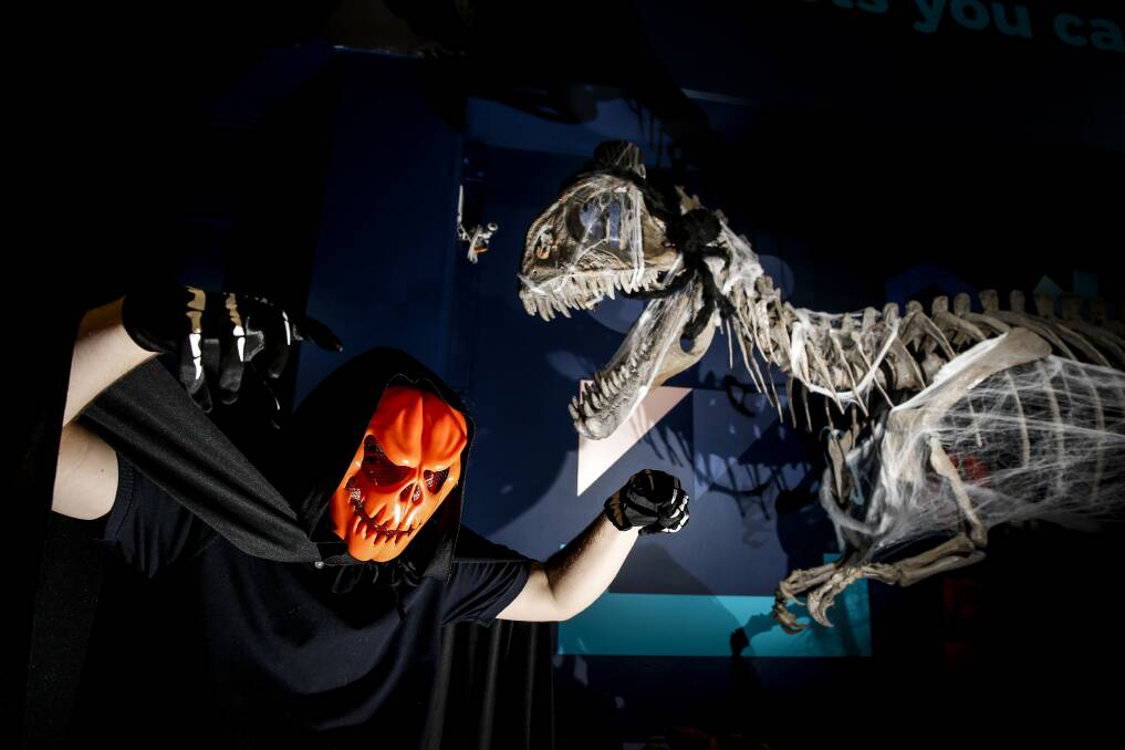 Halloween 2020: Spookfest is going ahead at the Science Space Wollongong on Friday where 225 people will enjoy a night of fun and frights. Picture: Anna Warr.
