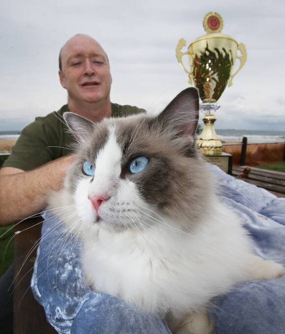 Who’s the boss: Joseph Skinner with his prize ragdoll cat Prince Charming, who has developed an allergy to corn and needs a special diet. Picture: Robert Peet.